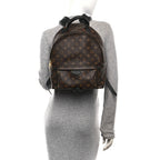 Monogram Palm Springs Backpack MM
