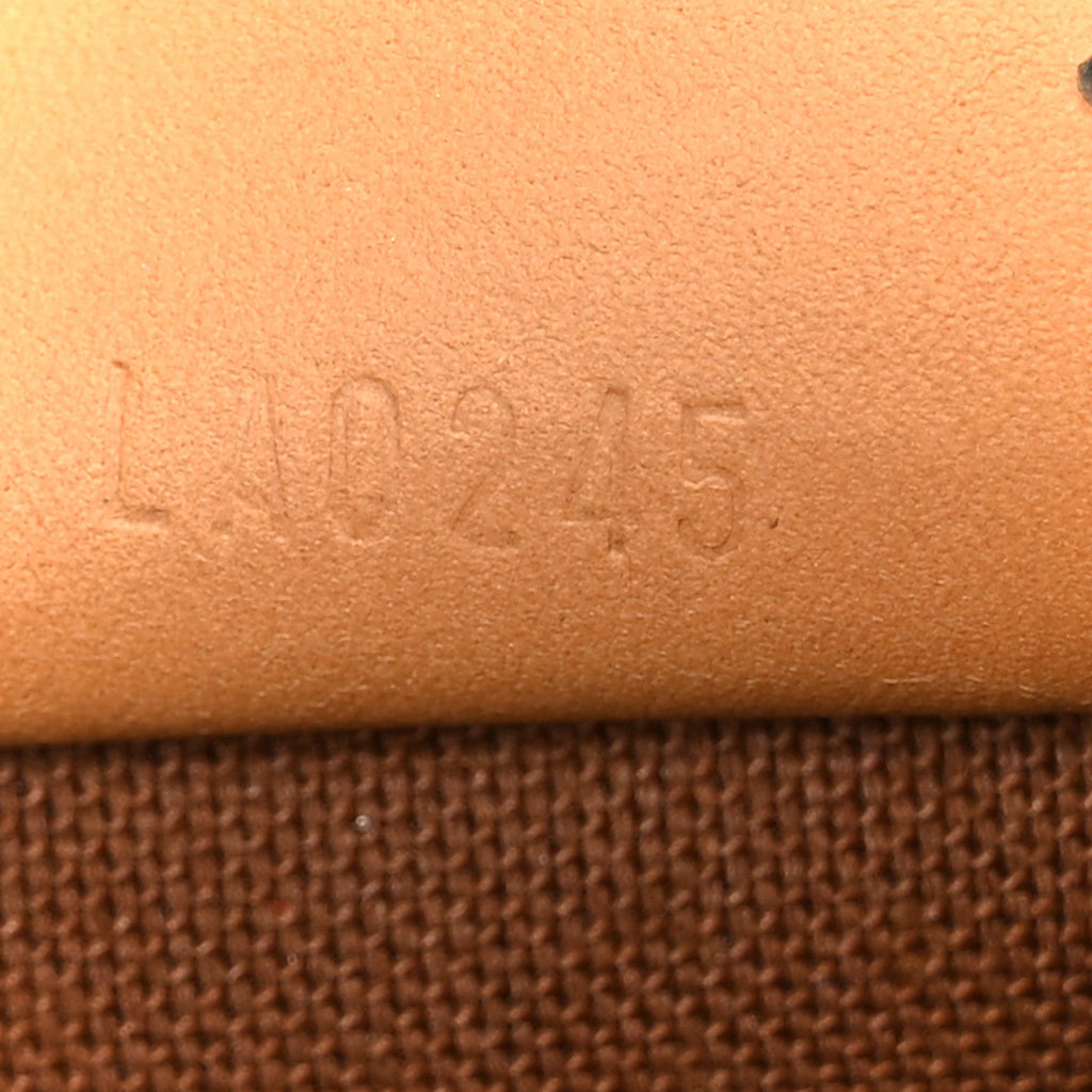 Monogram Nano Speedy Bandouliere
