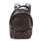 Monogram Palm Springs Backpack PM