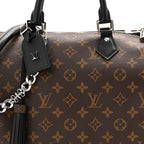Monogram Speedy Soft 30 Dark