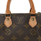 Monogram Mini Sac HL Speedy