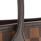 Damier Ebene Neo Neverfull PM