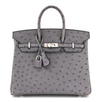 Ostrich Birkin 25 Gris Agate