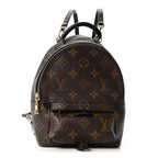 Monogram Palm Springs Backpack Mini