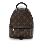 Monogram Palm Springs Backpack Mini
