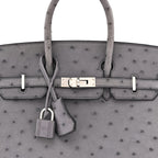 Ostrich Birkin 25 Gris Agate