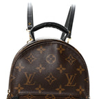 Monogram Palm Springs Backpack Mini