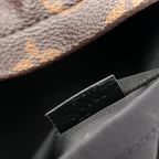 Monogram Palm Springs Backpack PM