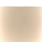 Grained Calfskin Small N/S Hook Tote Ivory