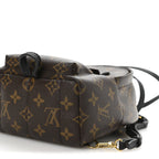 Monogram Palm Springs Backpack Mini