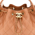 Caviar Quilted Small Chanel 25 Handbag Brown