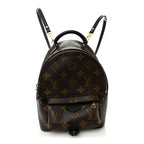 Monogram Palm Springs Backpack Mini