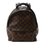 Monogram Palm Springs Backpack MM