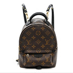 Monogram Palm Springs Backpack Mini