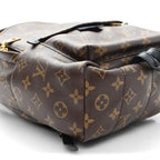 Monogram Palm Springs Backpack PM