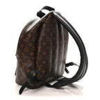 Monogram Palm Springs Backpack MM