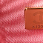 Lambskin Quilted Chanel 19 Wallet On Chain WOC Pink