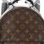 Monogram Palm Springs Backpack PM
