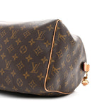 Monogram Speedy Soft Crafty 30