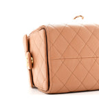Caviar Quilted Small Chanel 25 Handbag Brown