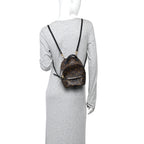 Monogram Palm Springs Backpack Mini