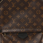 Monogram Palm Springs Backpack MM