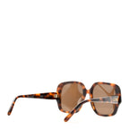 Acetate Square Sunglasses LW40134U Tortoise