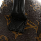 Monogram Palm Springs Backpack Mini