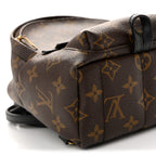 Monogram Palm Springs Backpack Mini