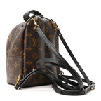 Monogram Palm Springs Backpack Mini