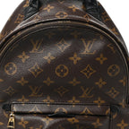 Monogram Palm Springs Backpack PM