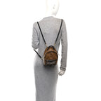 Reverse Monogram Palm Springs Backpack Mini