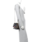 Monogram My LV World Tour Alma BB