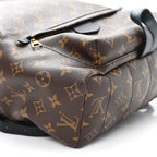 Monogram Palm Springs Backpack MM