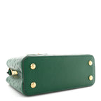 Ostrich Capucines Mini Mint