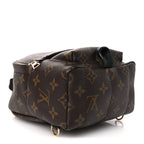 Monogram Palm Springs Backpack Mini