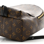Monogram Palm Springs Backpack PM