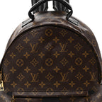 Monogram Palm Springs Backpack MM