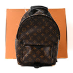 Monogram Palm Springs Backpack PM