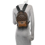 Reverse Monogram Palm Springs Backpack PM
