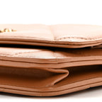 Lambskin Quilted Chanel 19 Wallet On Chain WOC Brown