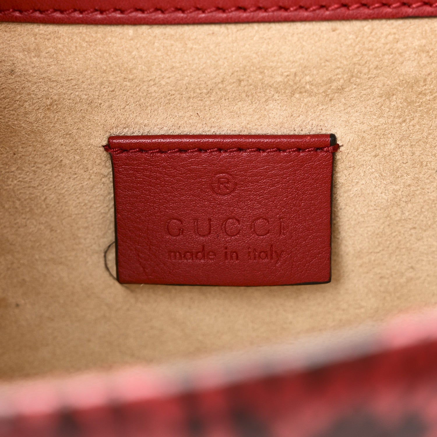 Snakeskin Mini Dionysus Shoulder Bag Red