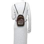 Monogram Palm Springs Backpack Mini