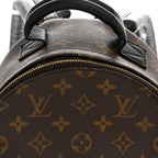 Monogram Palm Springs Backpack PM