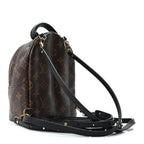 Monogram Palm Springs Backpack Mini