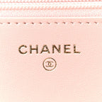 Lambskin Quilted Chanel 19 Wallet On Chain WOC Light Pink