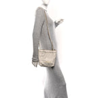 Shiny Calfskin Quilted Mini Chanel 22 Light Grey
