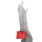 Togo Birkin 25 Rouge Pivoine