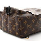 Monogram Palm Springs Backpack Mini