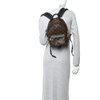 Monogram Palm Springs Backpack PM